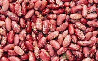 娱乐吃瓜酱云南的花