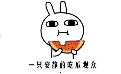 吃瓜视频是什么意思,网络热议背后的娱乐现象